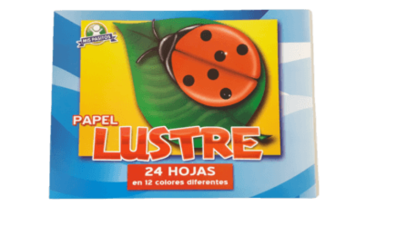 BLOCK PAPEL LUSTRE 24 HOJAS/12 COLO